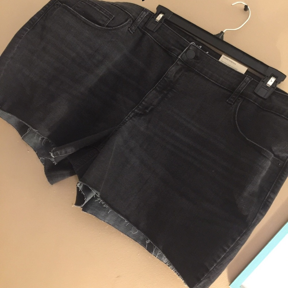 shorts size 22w
